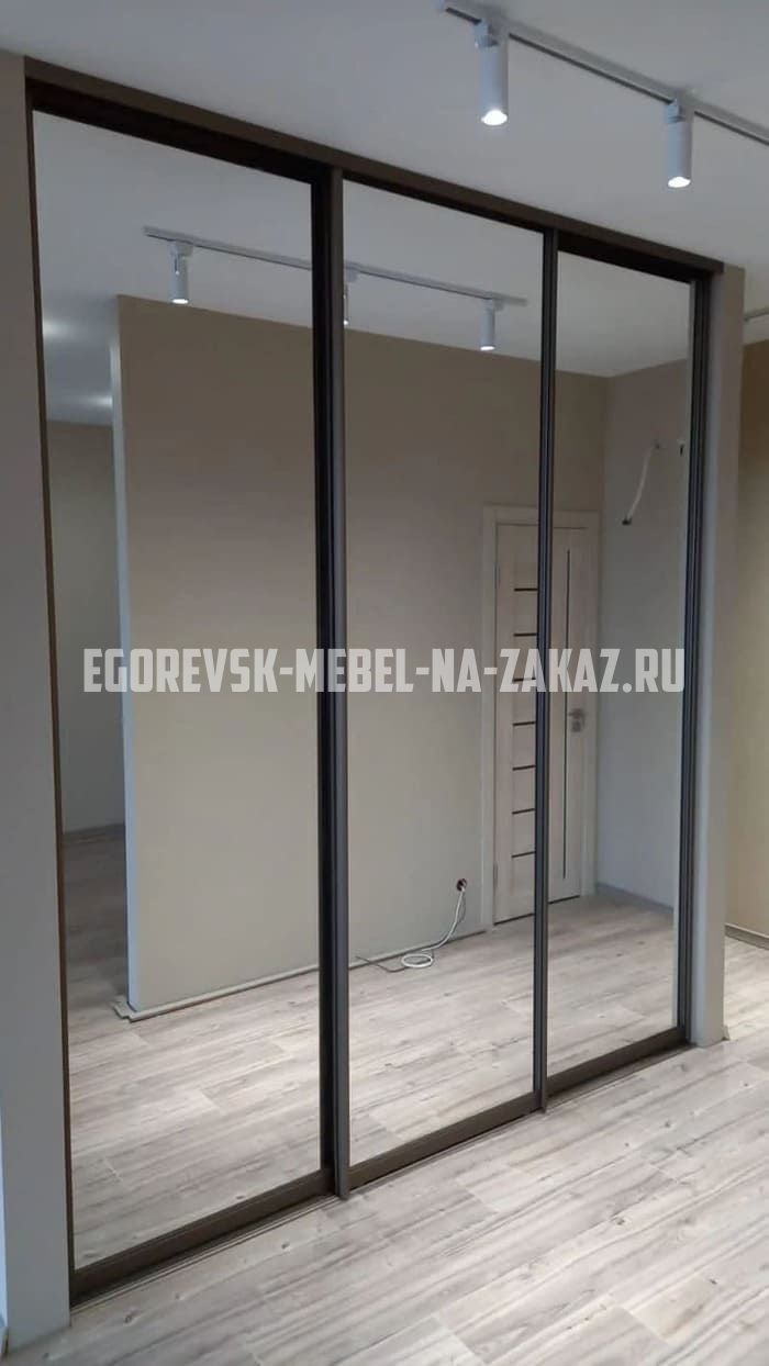 Двери купе на заказ в Егорьевске